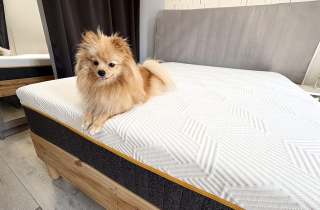 Best mattresses for back pain