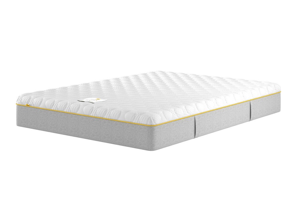 Eve Hybrid Duo Plus Mattress