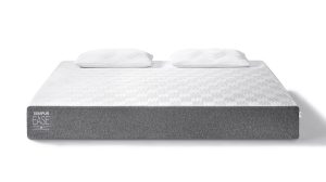 TEMPUR EASE 22