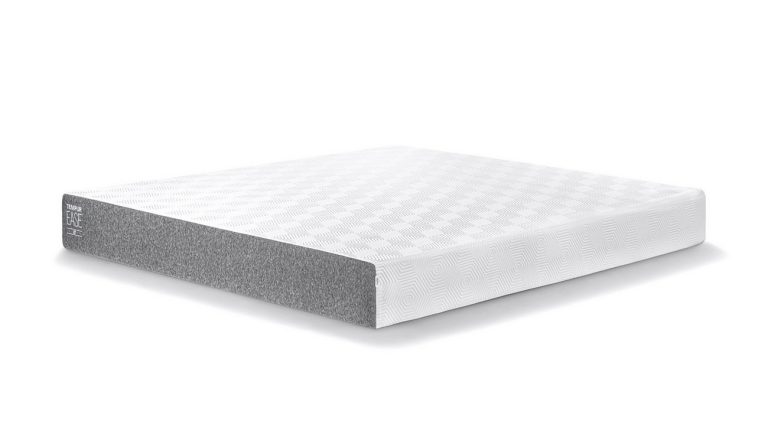 TEMPUR EASE 22