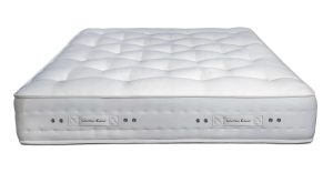Warren Evans Organic 6000 Hybrid Natural
