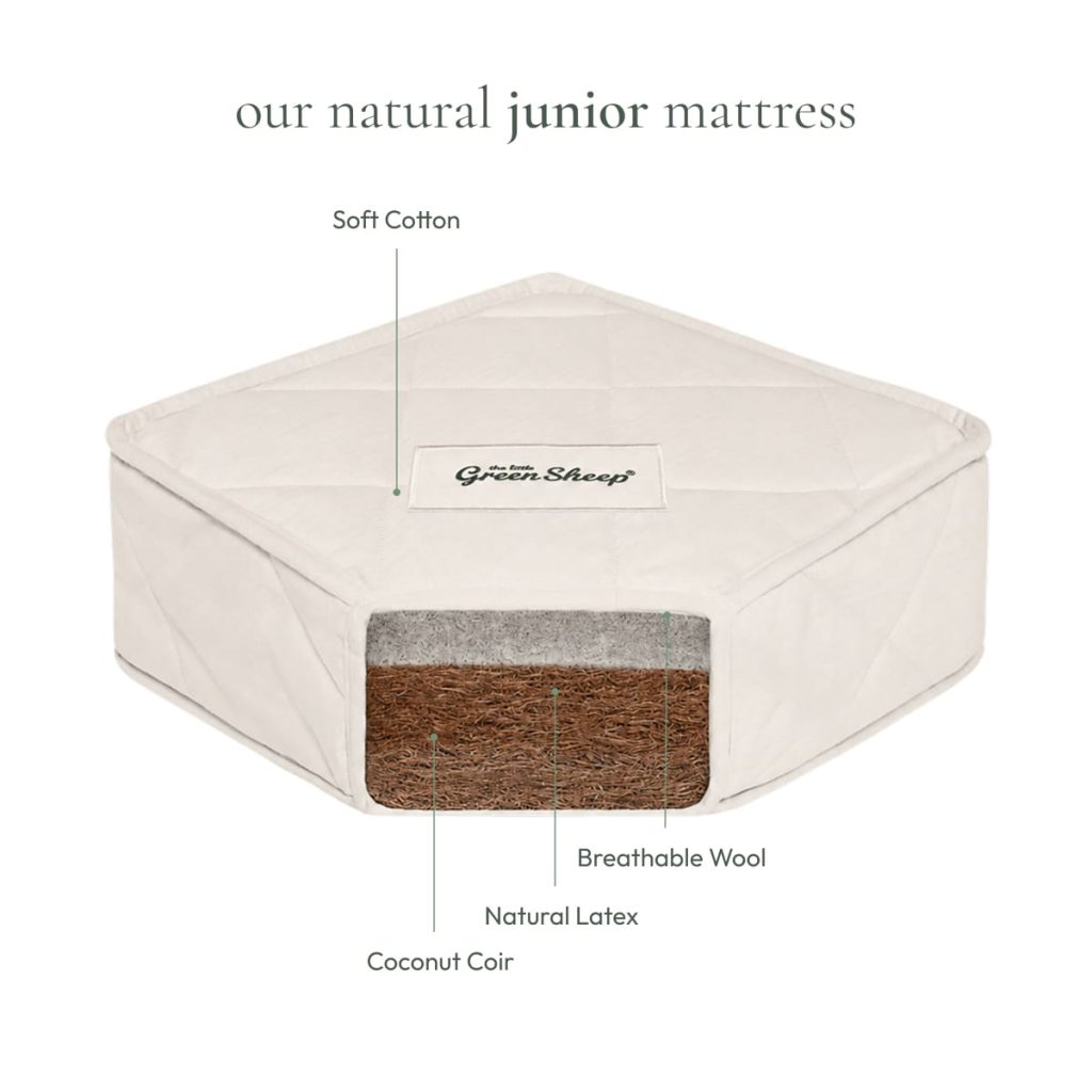 Cutaway of The Little Green Sheep Natural Junior Mattress showing coir, latex and wool layers
